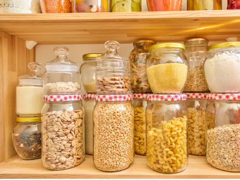 choosing food storage containers