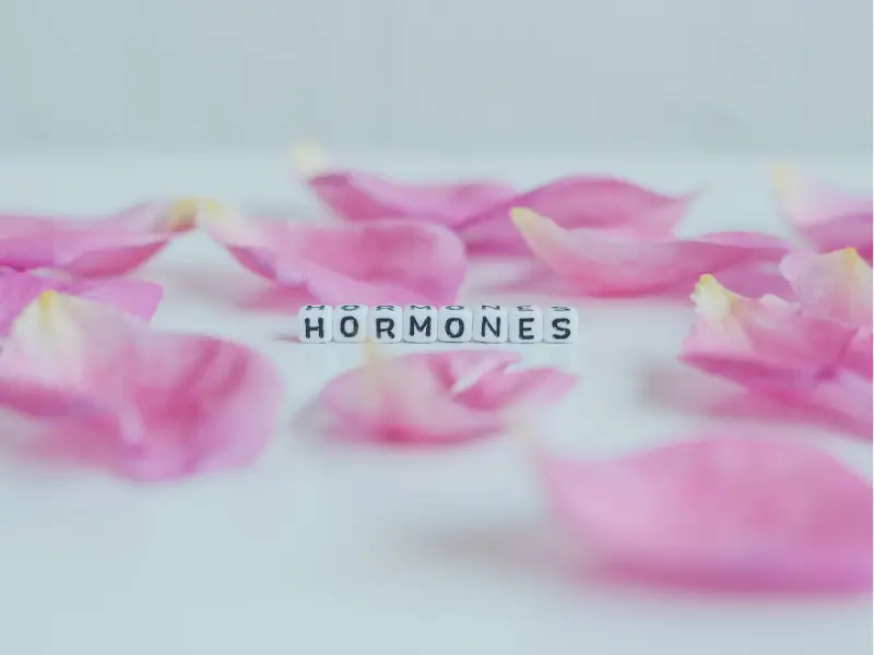 Cortisol's Impact on Hormonal Balance