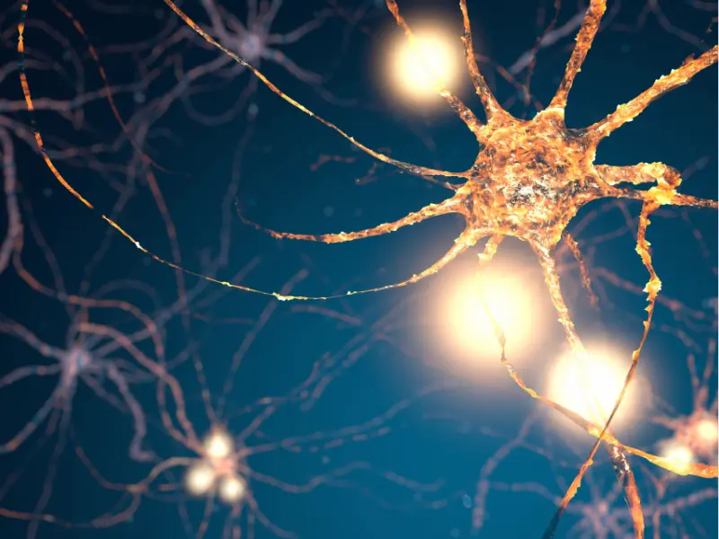 Neuroplasticity Exercises